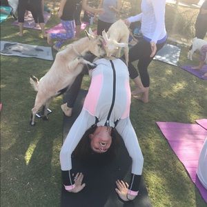 LuluLemon Gentle Worn Fitted Sports Hoodie